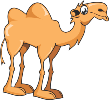 Why camel is called the ship of the desert?